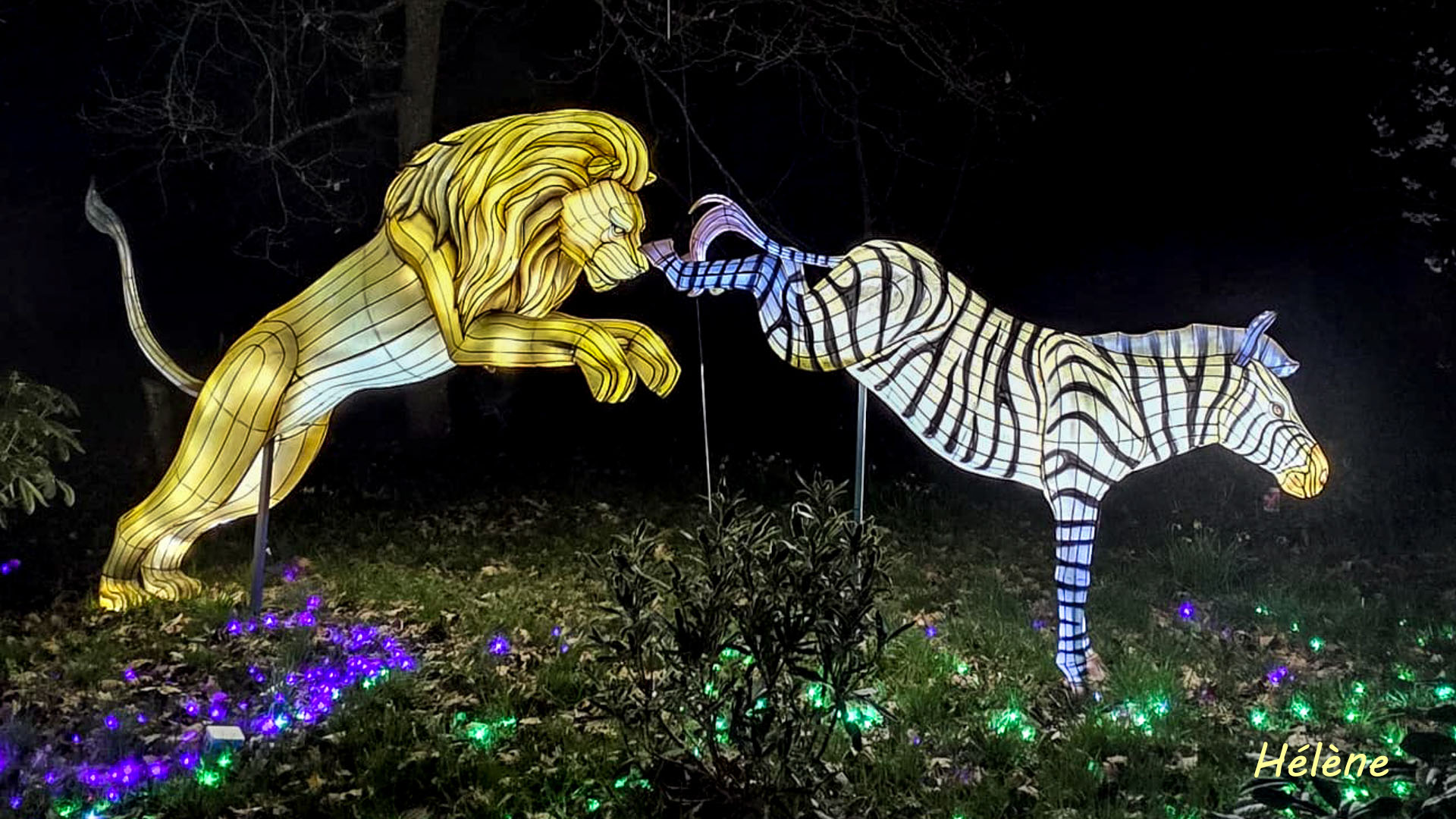 THOIRY -Illumination ,  Lumières sauvages 2025-2026